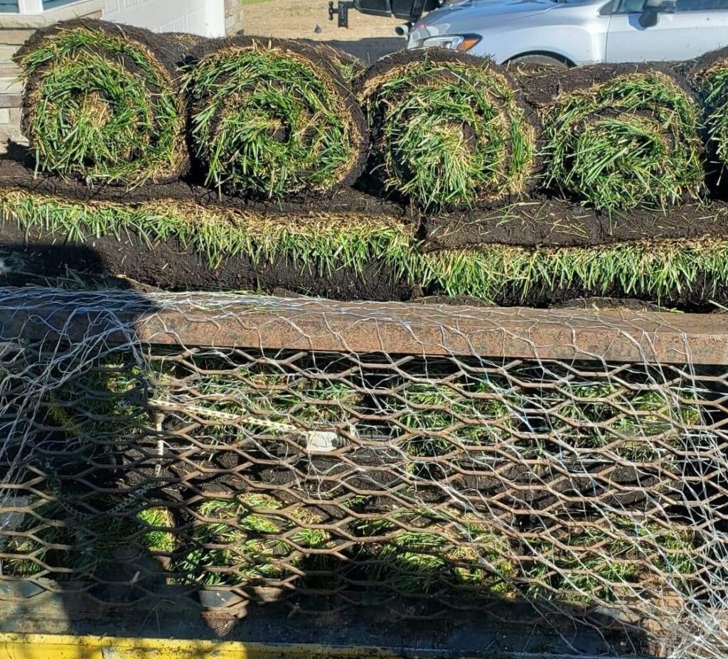 sod delivery