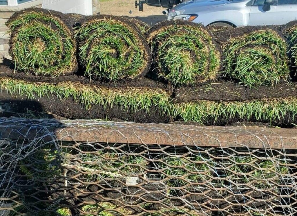 IMG_6679 sod delivery